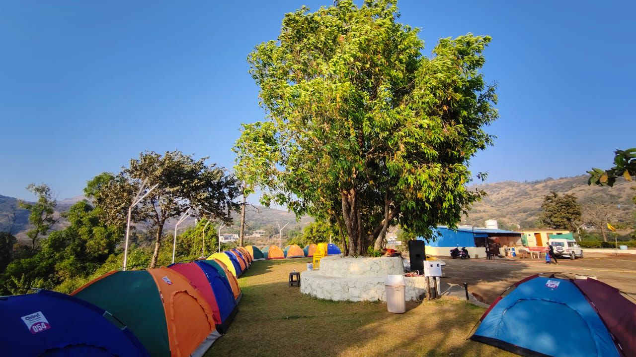 Camp area with tents and a large shade tree